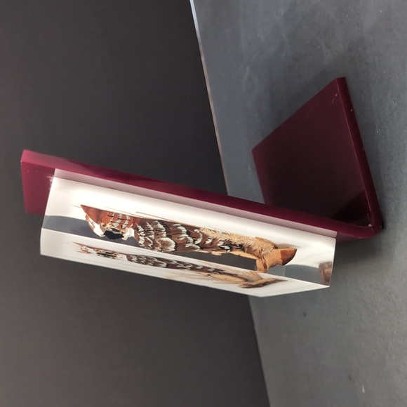 Vintage Lucite Encased Carved And painted Owl In a Maroon Frame. - Picture 3 of 9